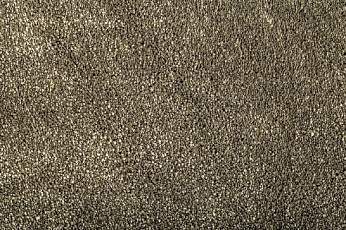 Ковролин Condor Carrera 40 фото 1 | FLOORDEALER